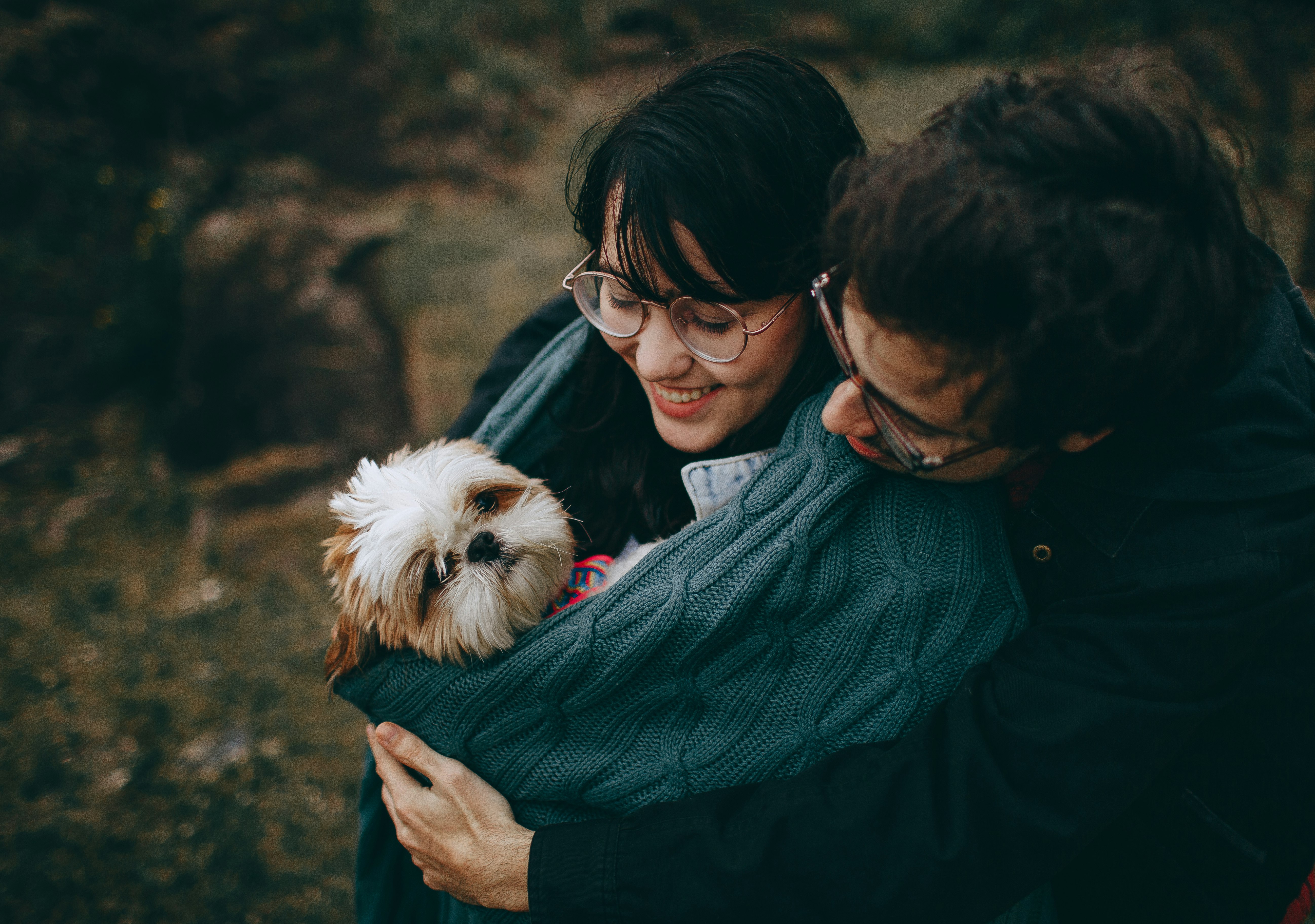 woman carrying a chihuahua